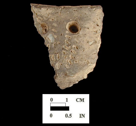 Sullivan Cove rim sherd (1 of 2) decorated with punctations and cord-wrapped dowel impressions from the Hallowing Point site 18CV31/1.